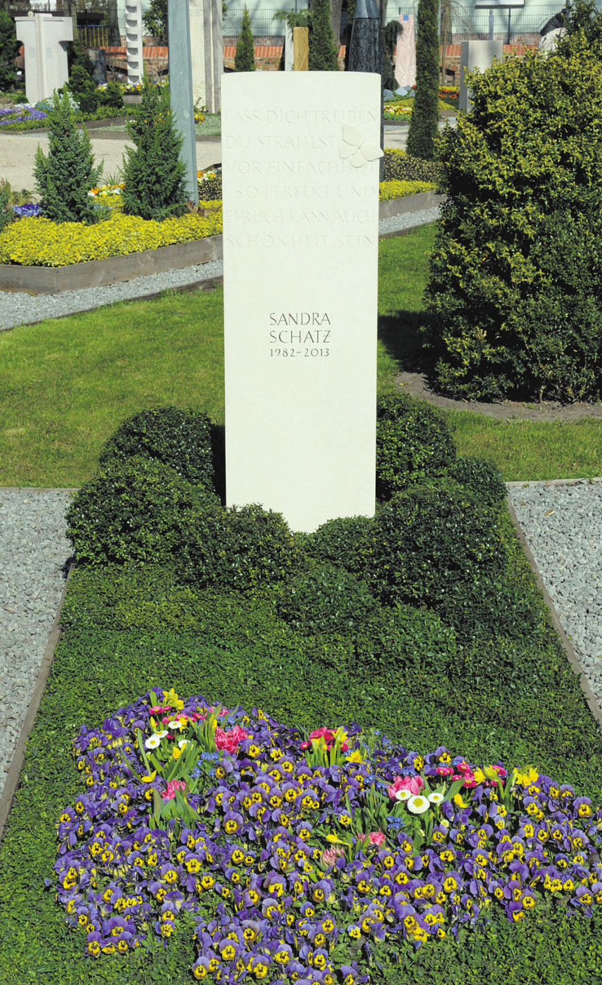 Alternativen zum Buchs: Japanische Hülse und Gamander